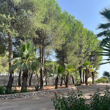 Casette Masseria La Camardia Sava Exterior photo